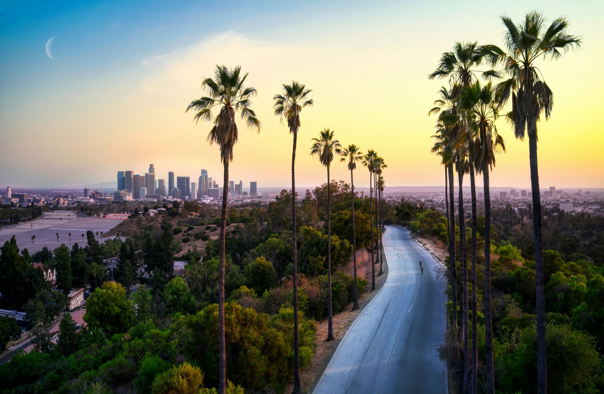 Los Angeles skyline with palm trees